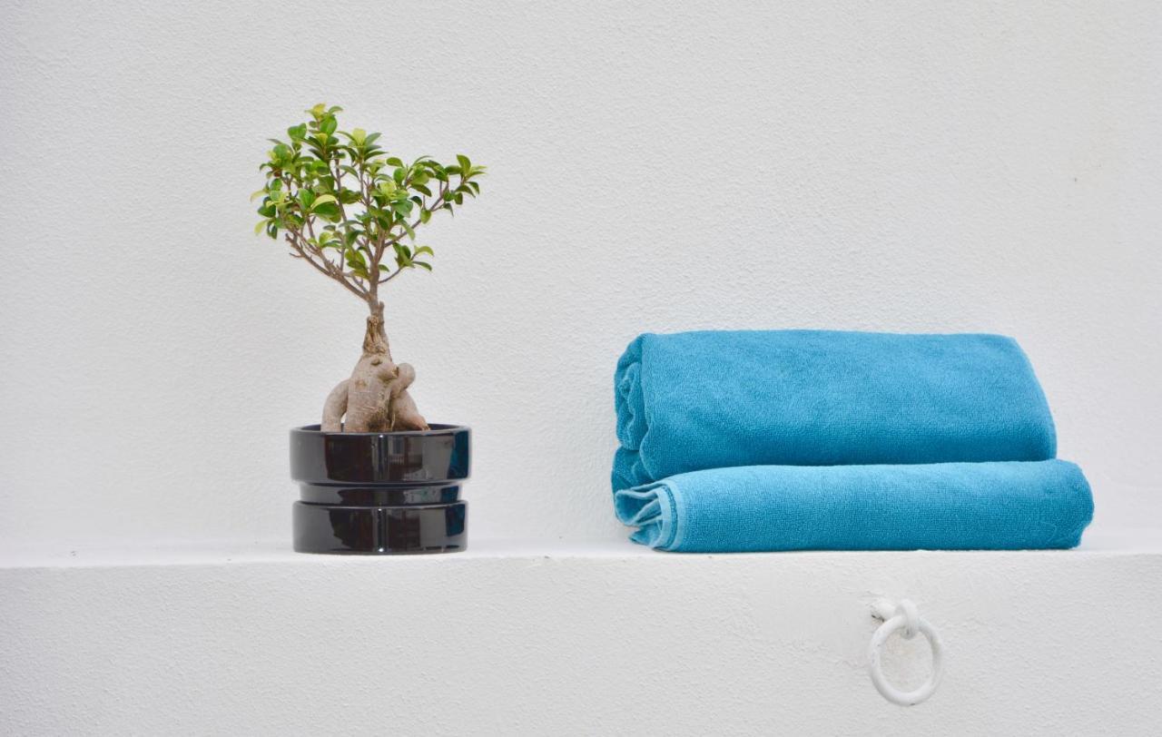 Apartment Porto Garden | Downtown